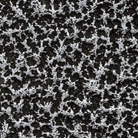 ���������� ��������