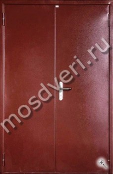 Двустворчатая дверь с простым окрасом - купить от производителя Мосдвери Двустворчатая дверь с простым окрасом
